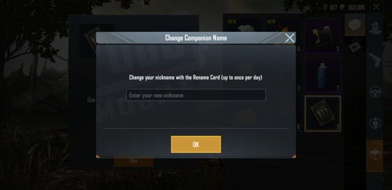 change your pubg mobile name